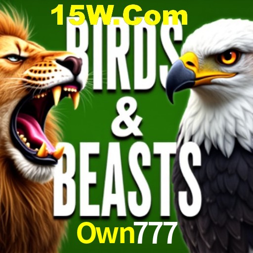 Apostas Esportivas na Own777: Um Guia Completo